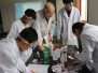 Fun with Science 2