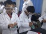 Fun with Science Program 2